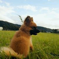 えり