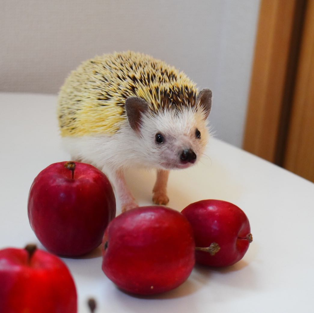 うに