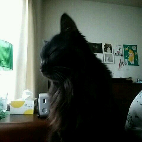 Nika
