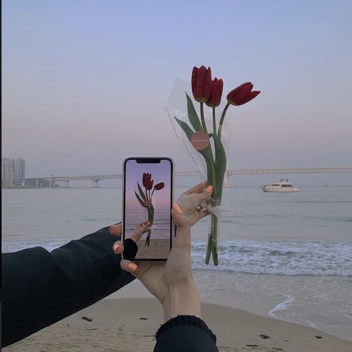 彩桜