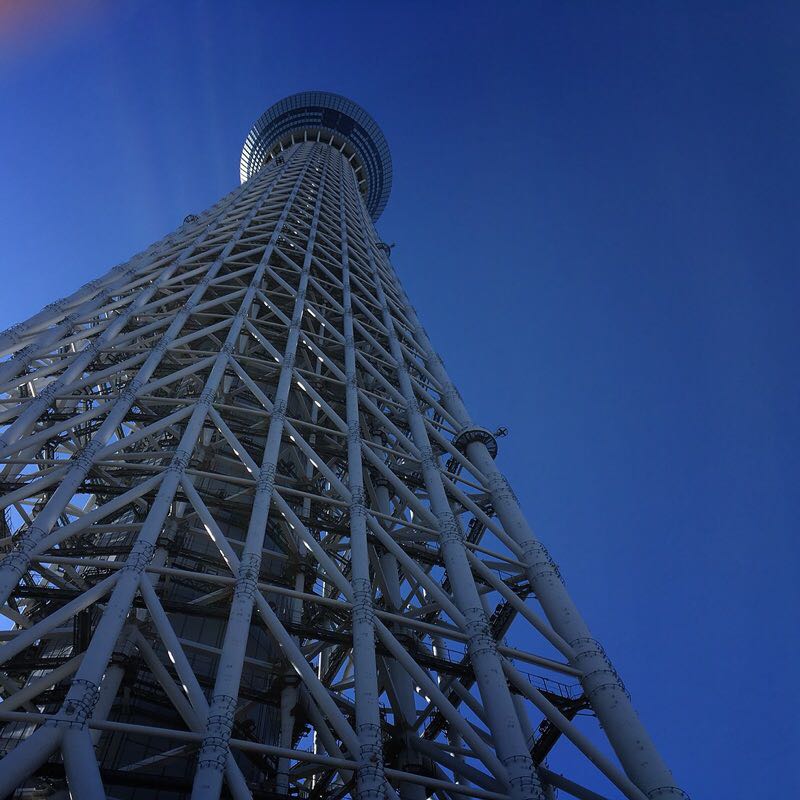 ヨシヨシ