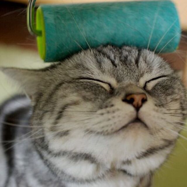 福