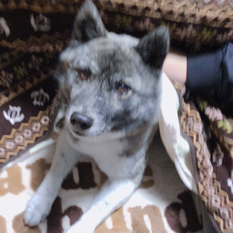 あ