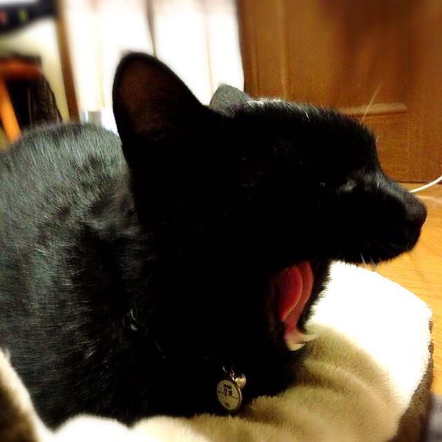 ユタ