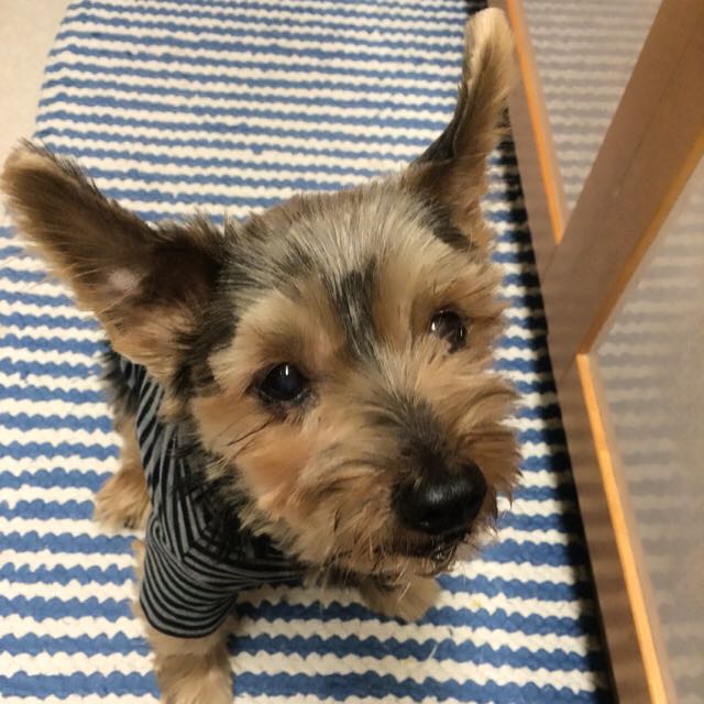 あやびぃ
