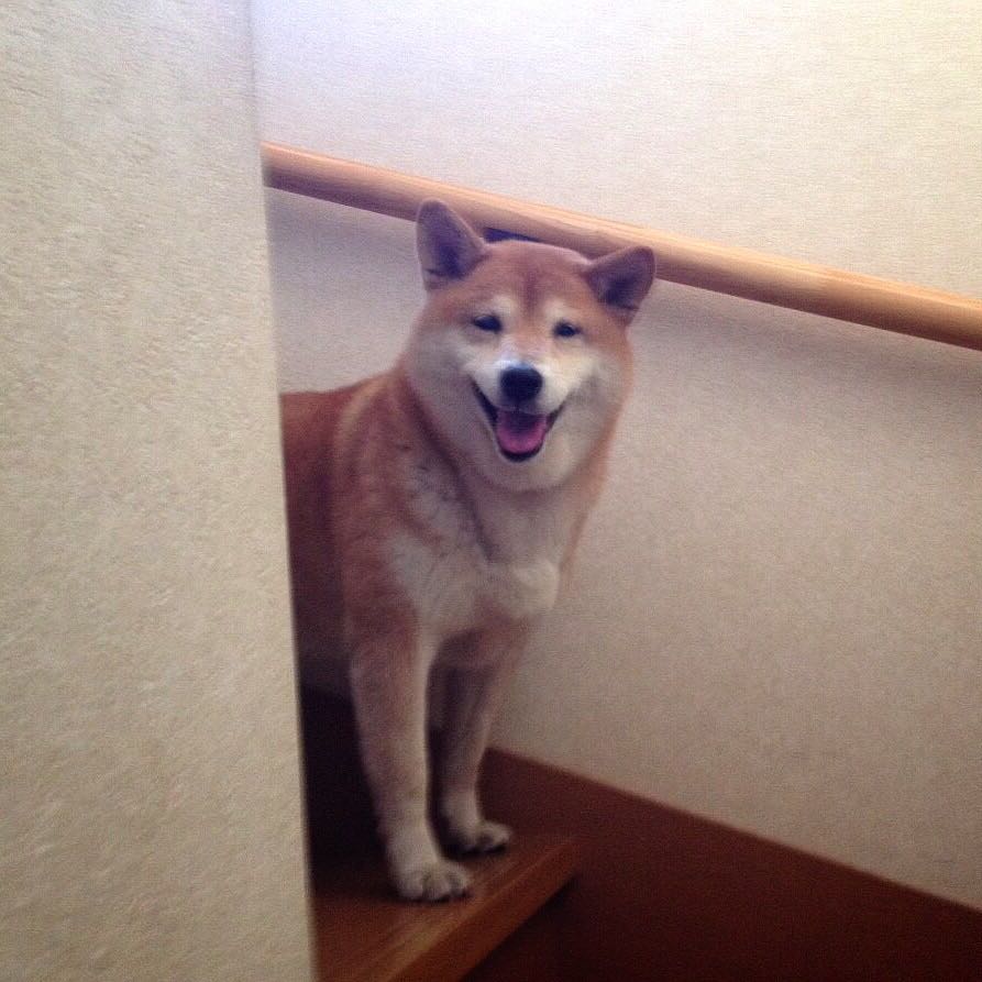 yuka