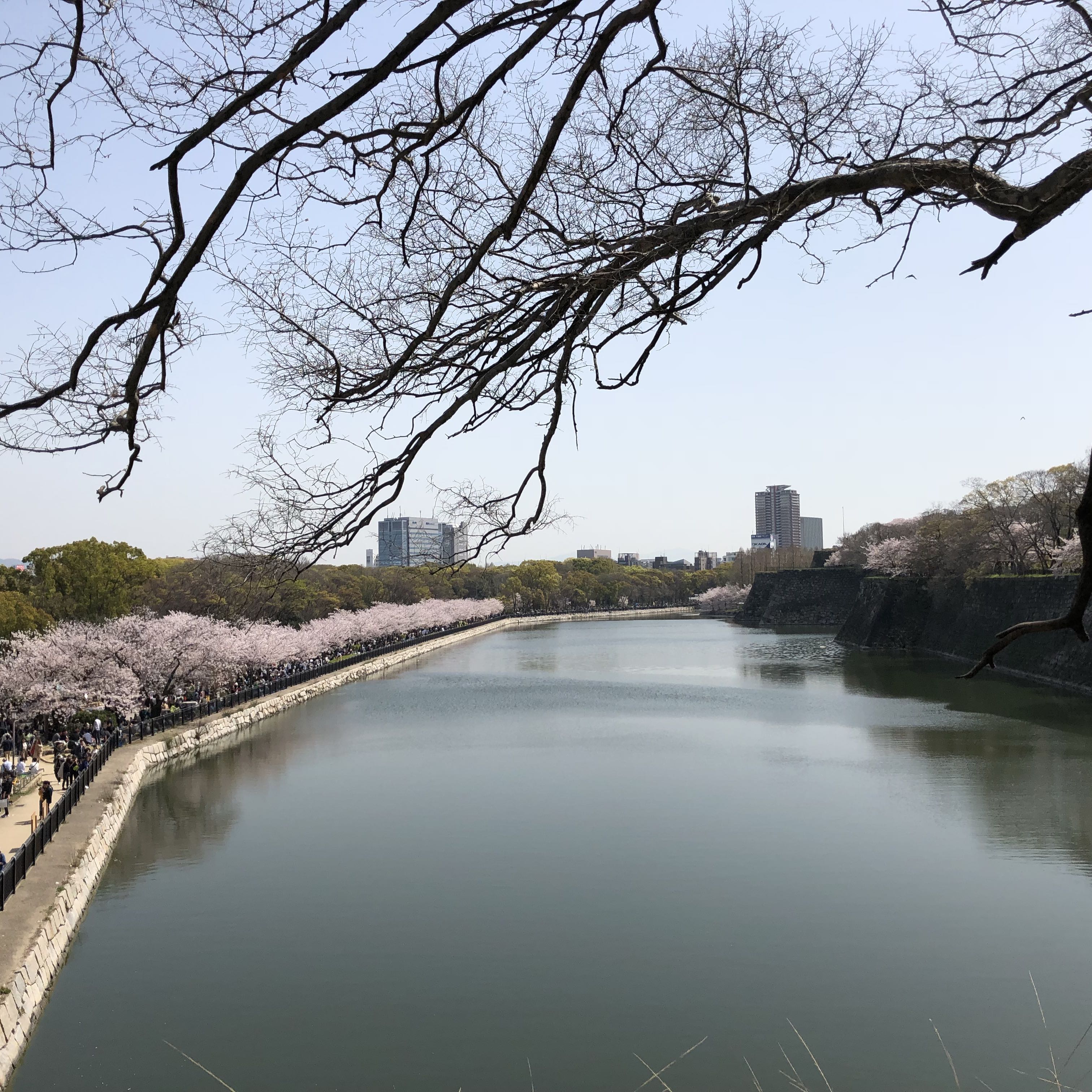 はろう