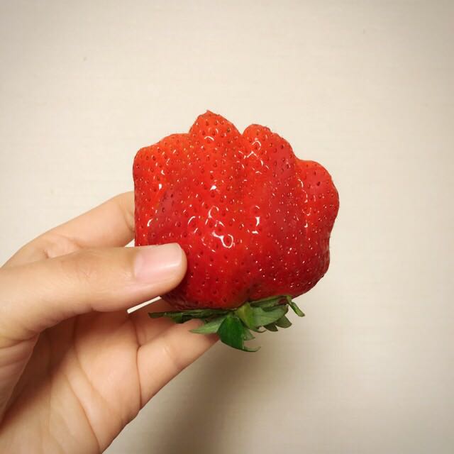 あいうえお