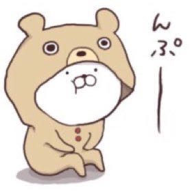 kazukazu9529