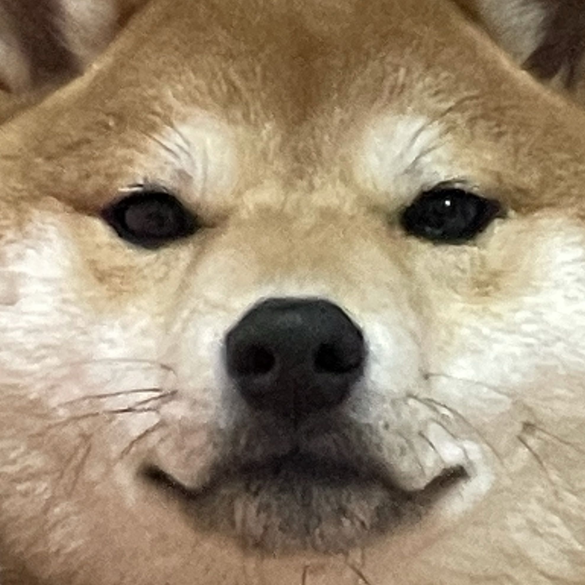 の