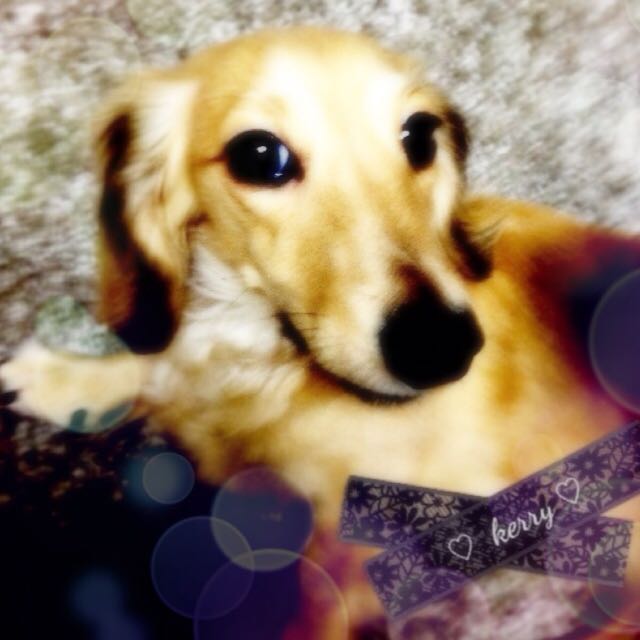 kerry♡