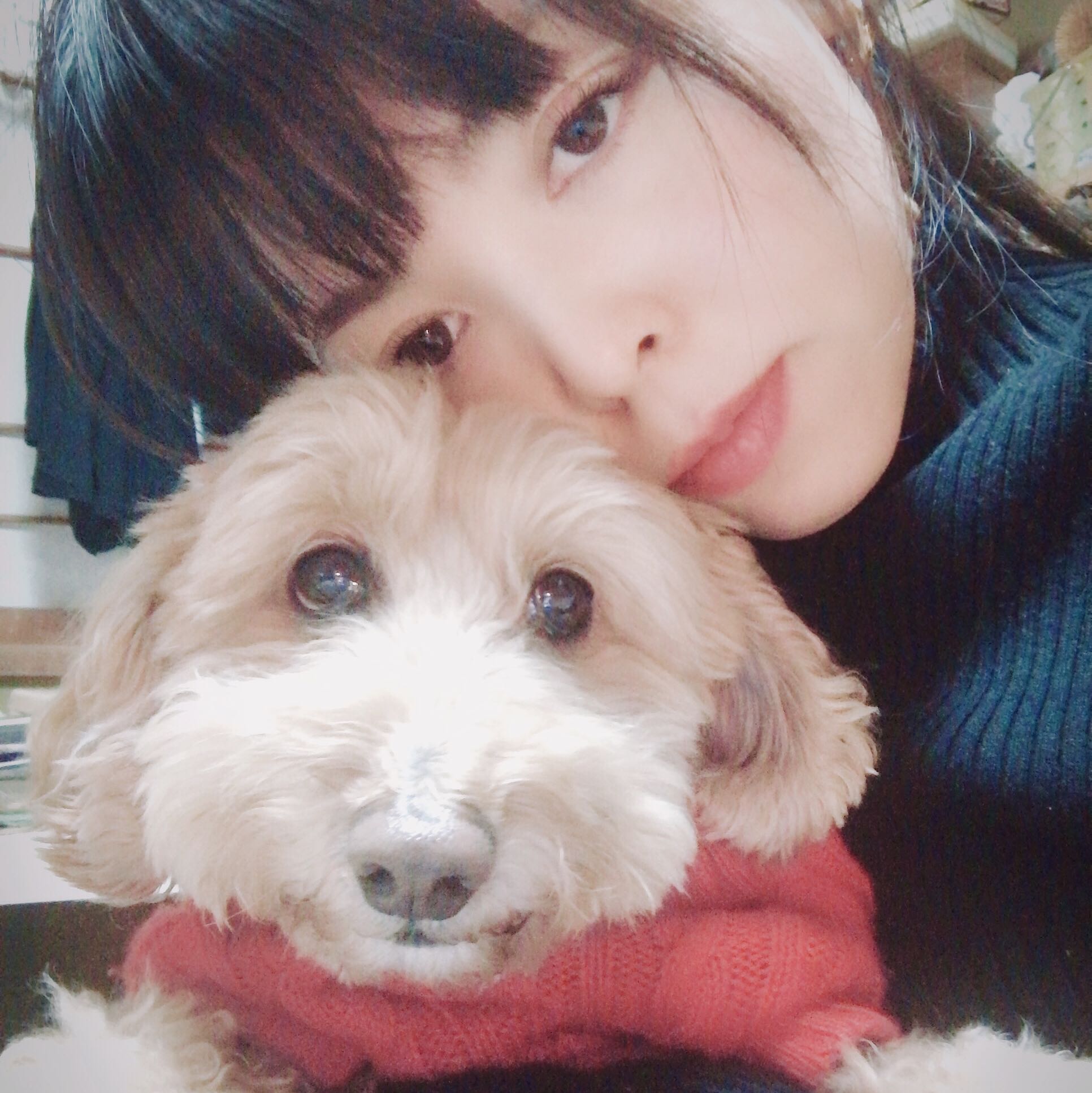 miyu