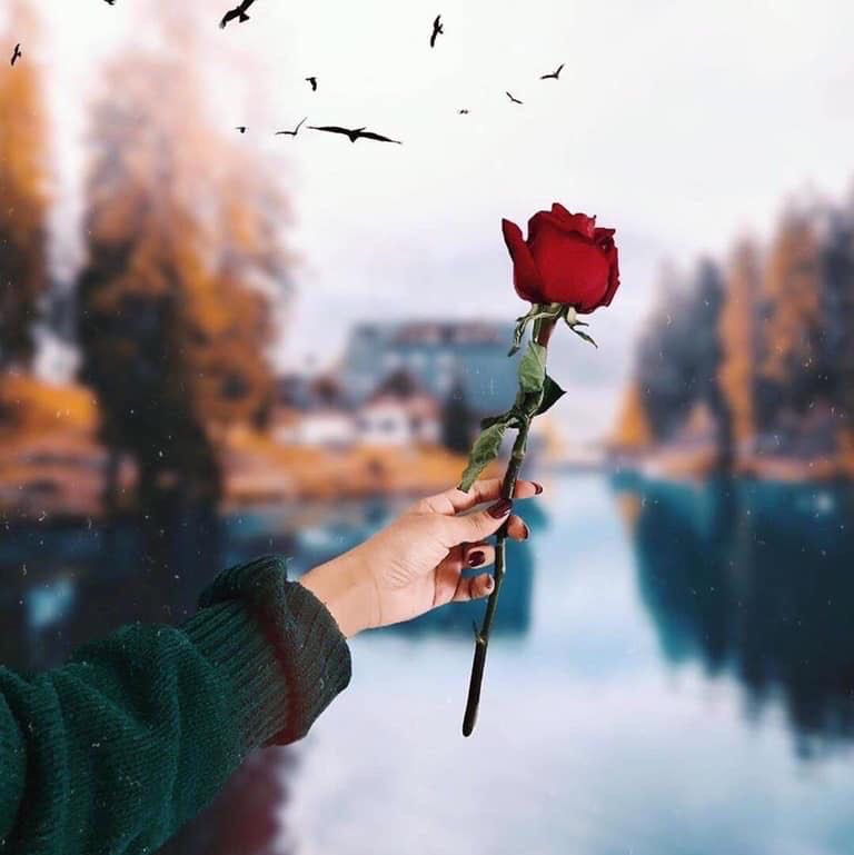 m花