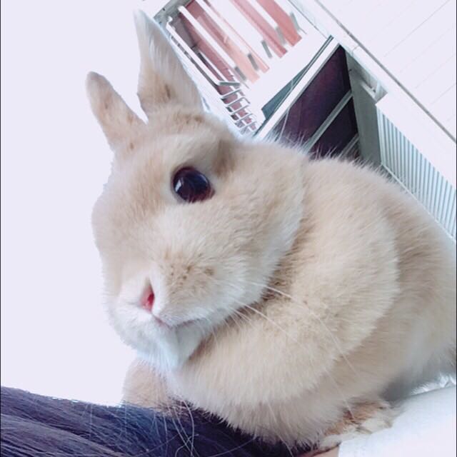 なつみ