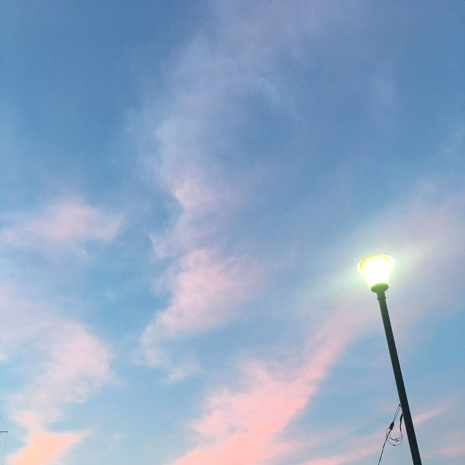 シオリ