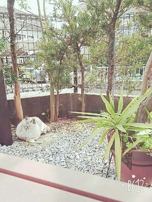 ゆりたぴ