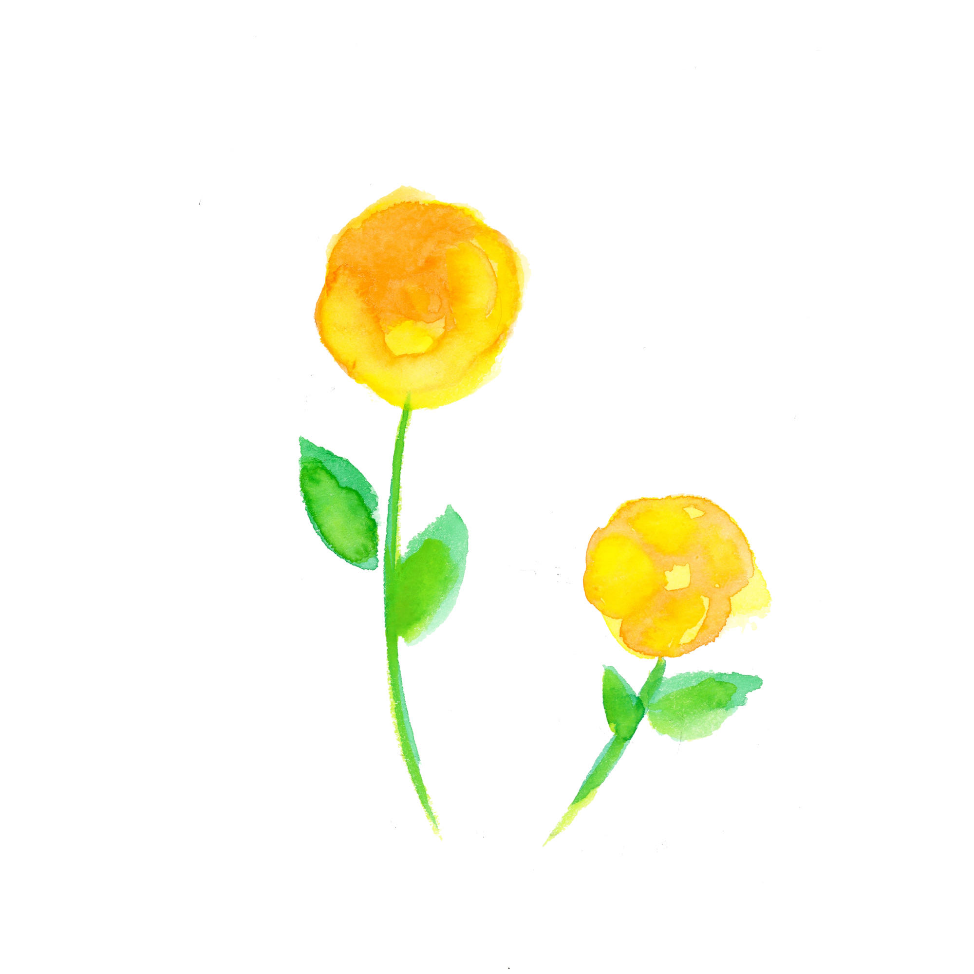さく