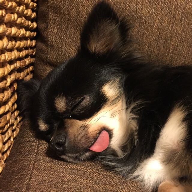 ふっくー