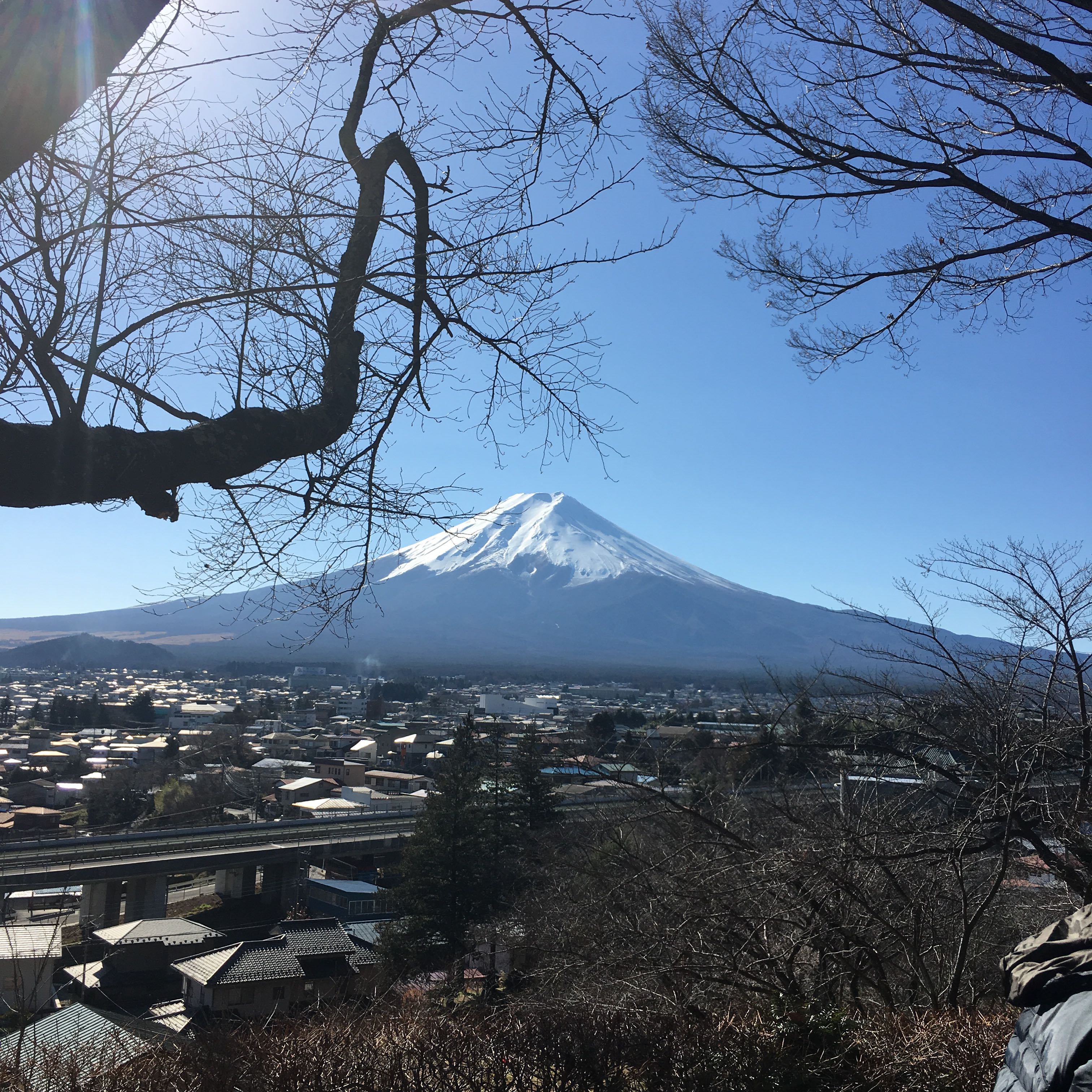 れんじょう