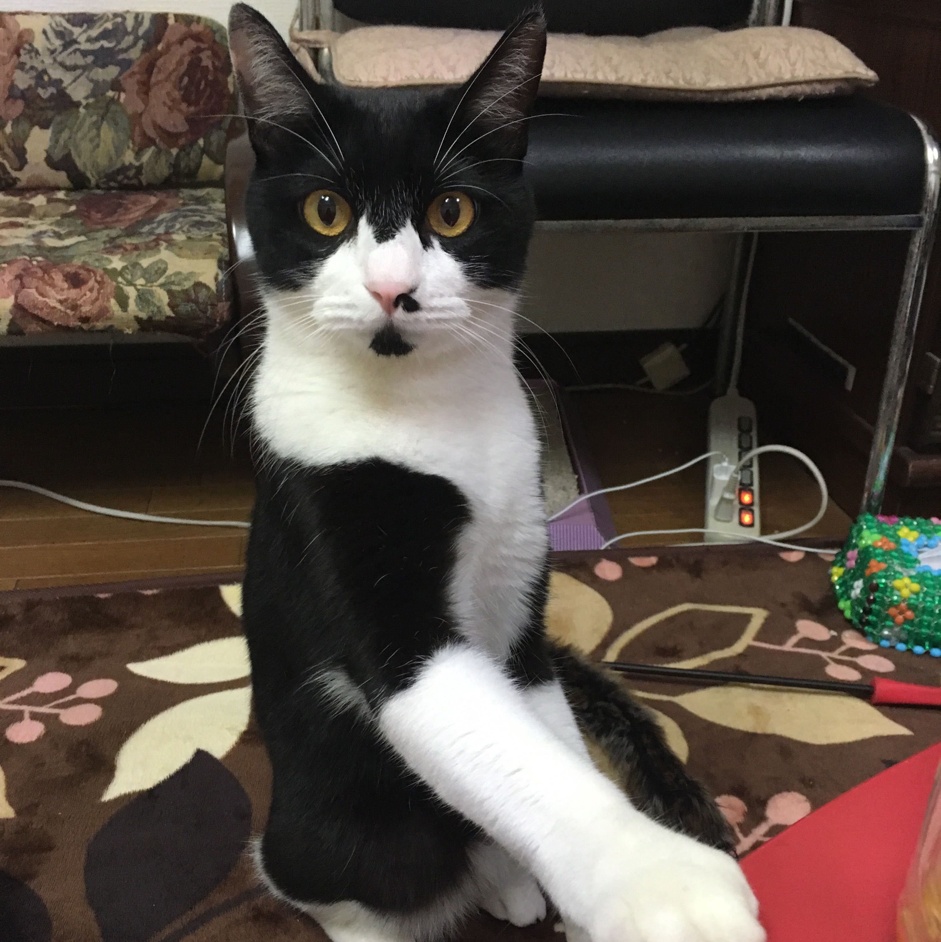 みどり